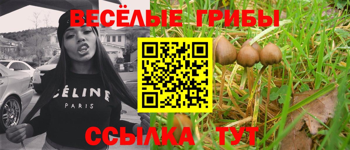 Галлюциногенные грибы Magic Shrooms  купить   Моздок  Галлюциногенные грибы Psilocybe  Вход с VPN 