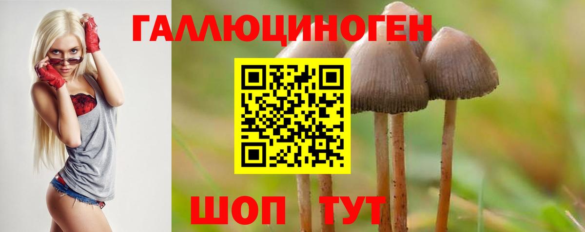 ЭКСТАЗИ  ГАШИШ  Моздок  Вход с VPN  Меф кристаллы  Магазины продажи наркотиков  Бошки Шишки  MDMA 